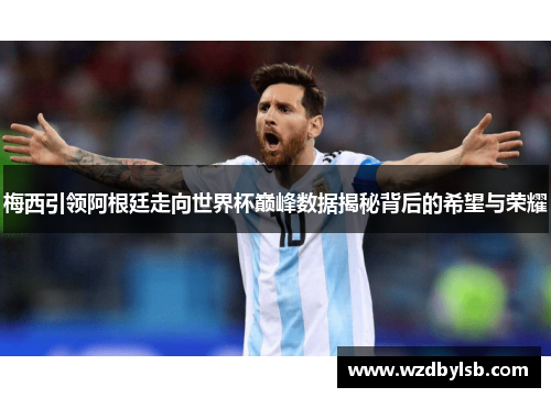 梅西引领阿根廷走向世界杯巅峰数据揭秘背后的希望与荣耀