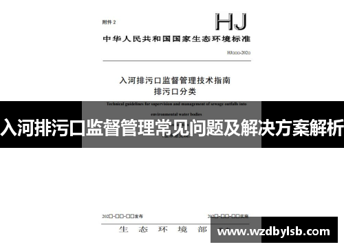 入河排污口监督管理常见问题及解决方案解析